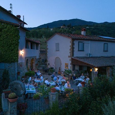 Agriturismo Borgo Mocale Castelfranco di Sopra Zewnętrze zdjęcie