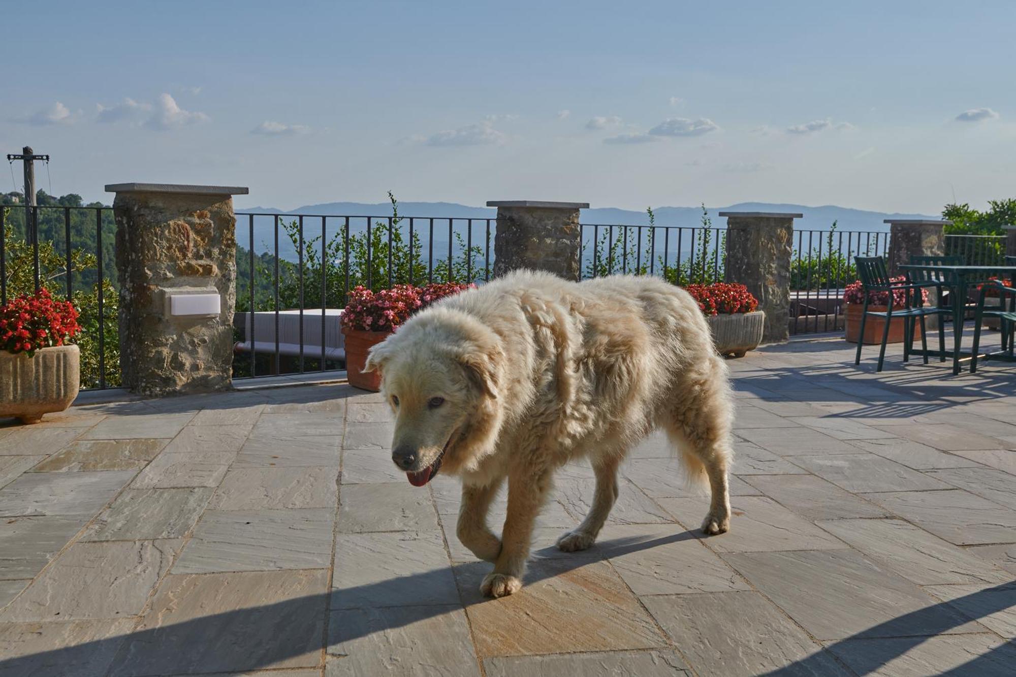 Agriturismo Borgo Mocale Castelfranco di Sopra Zewnętrze zdjęcie