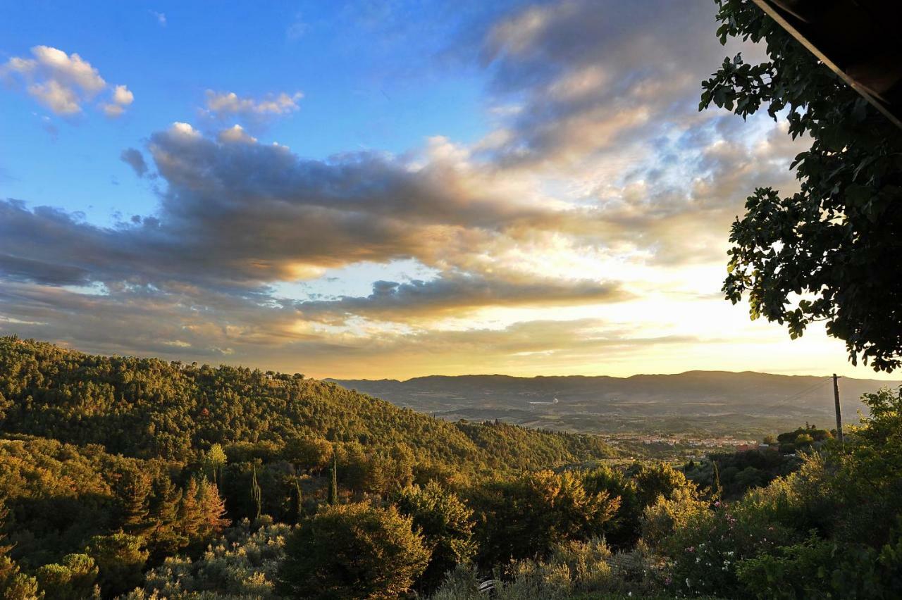 Agriturismo Borgo Mocale Castelfranco di Sopra Zewnętrze zdjęcie